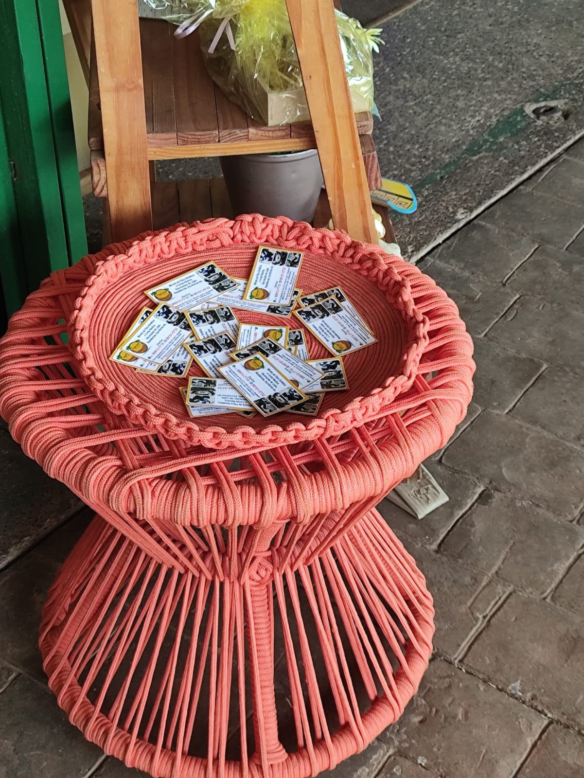 d6d1ba96-9492-470b-ad34-b0cdc10d0474