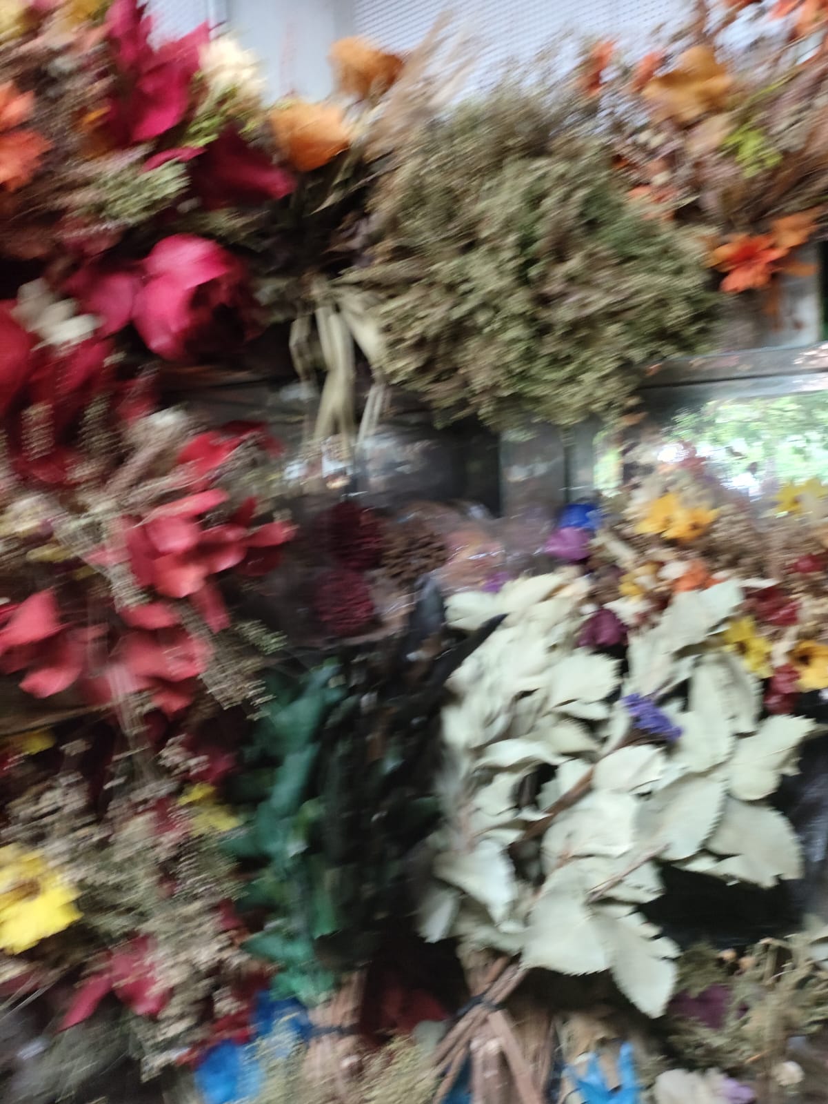 134054a4-ac95-4ff4-9a0e-a4104631ae24 - Copia